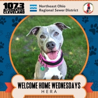 Welcome Home Wednesday: Meet Hera!!