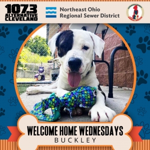 Welcome Home Wednesday: Meet Buckley!!